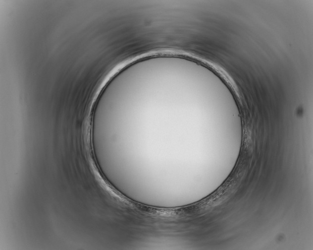 X0000097910911200803141026
