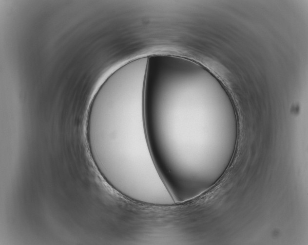 X0000097910912200803141026