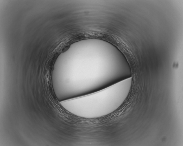 X0000097910915200803141026