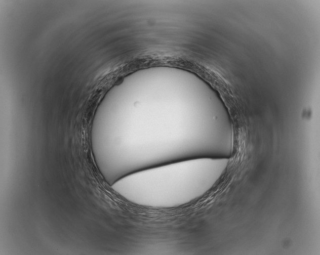 X0000097910917200803141026