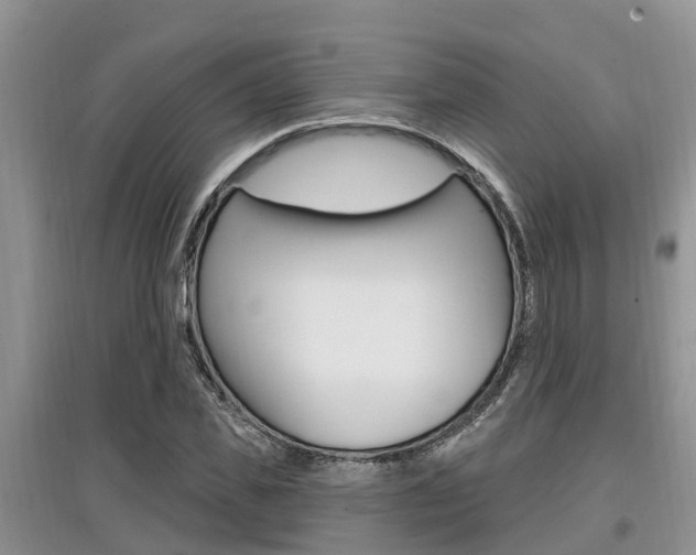 X0000097910925200803141026