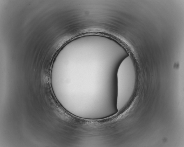 X0000097910929200803141026