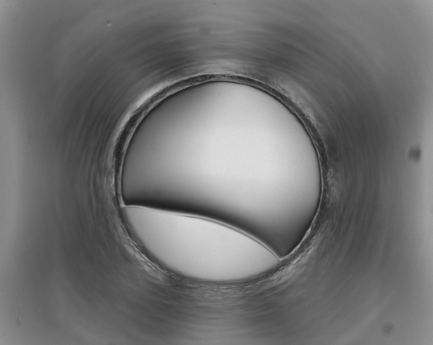 X0000097910931200803141026