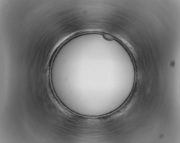 X0000097910933200803141026
