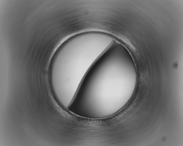X0000097910934200803141026
