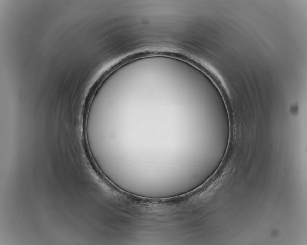 X0000097910935200803141026