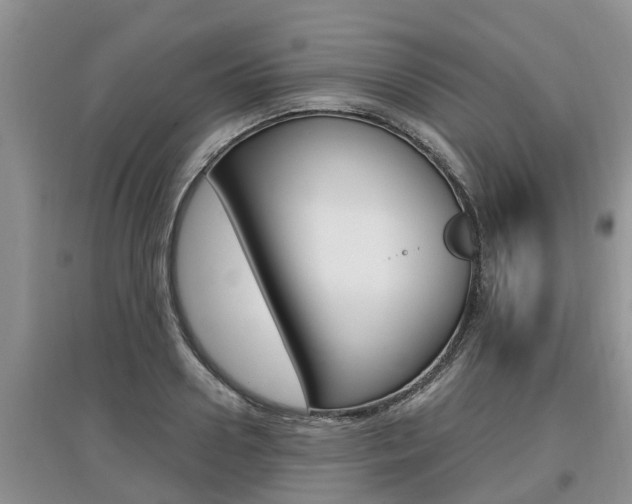 X0000097910938200803141026
