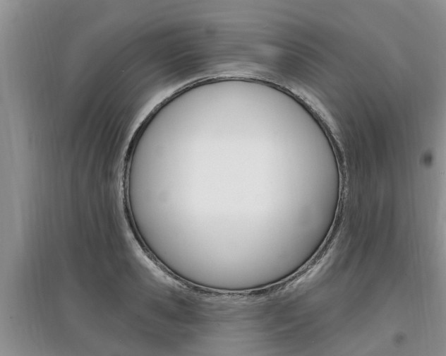 X0000097910941200803141026
