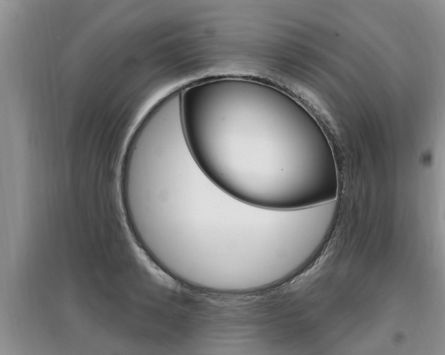 X0000097910942200803141026