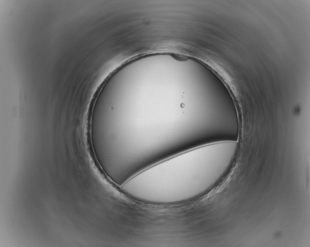 X0000097910949200803141026