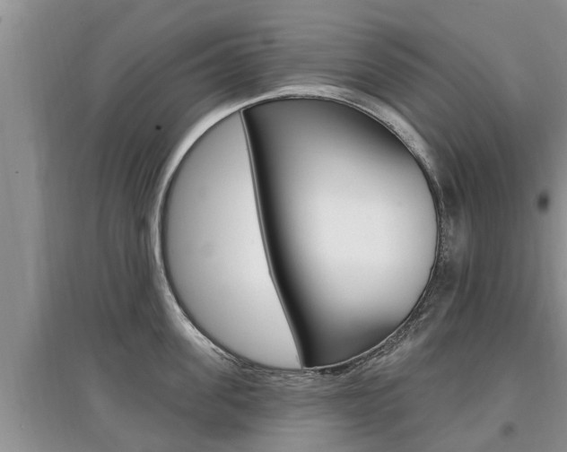 X0000097910955200803141026