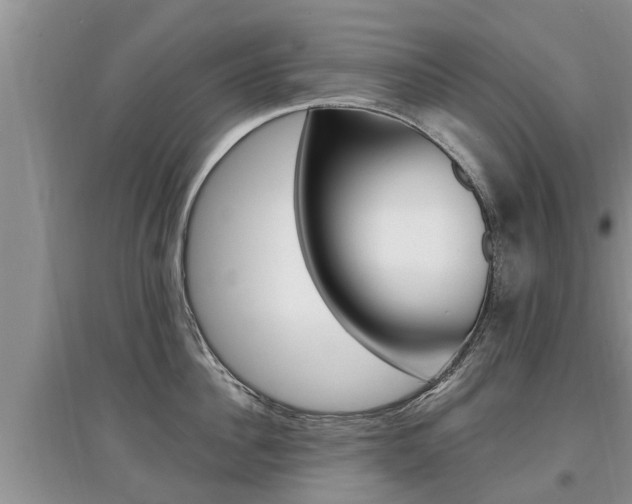X0000097910956200803141026