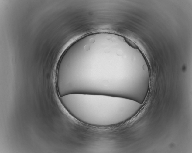 X0000097910957200803141026