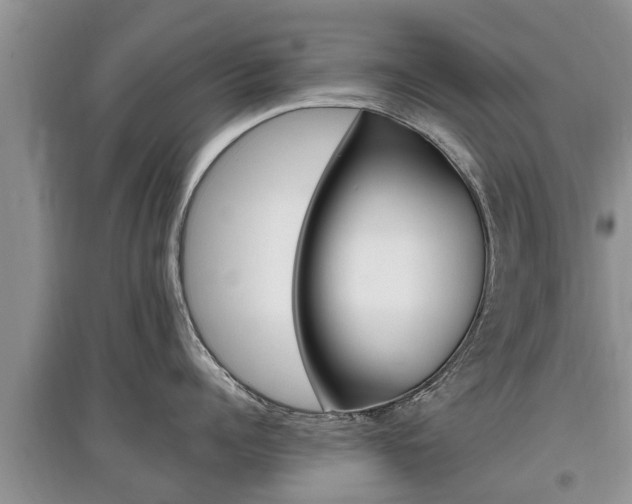 X0000097910960200803141026