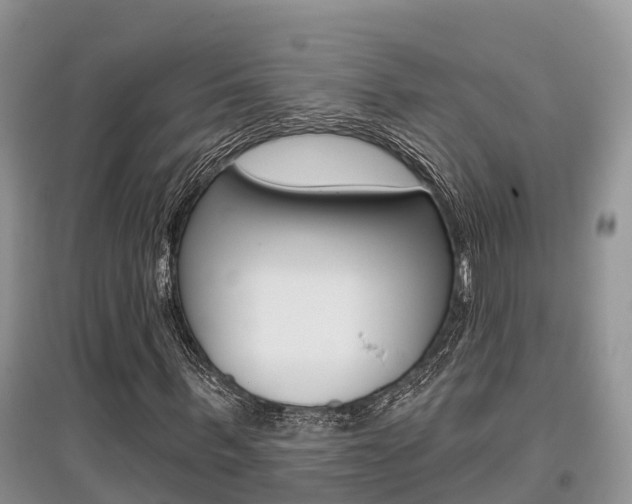 X0000097910963200803141026