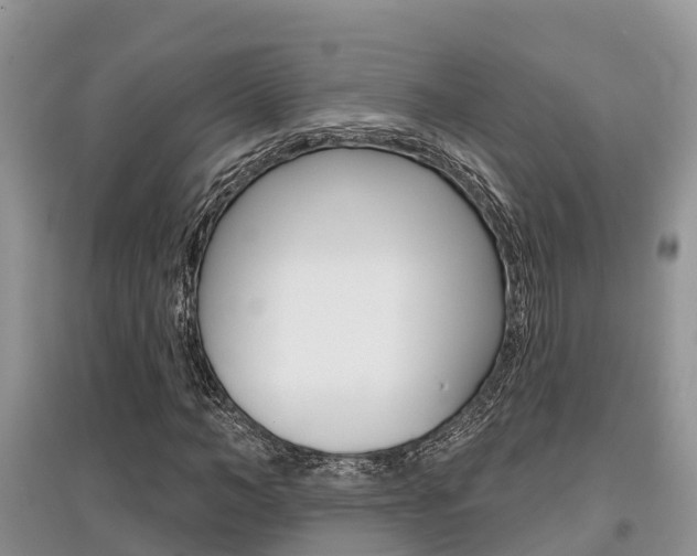 X0000097910966200803141025