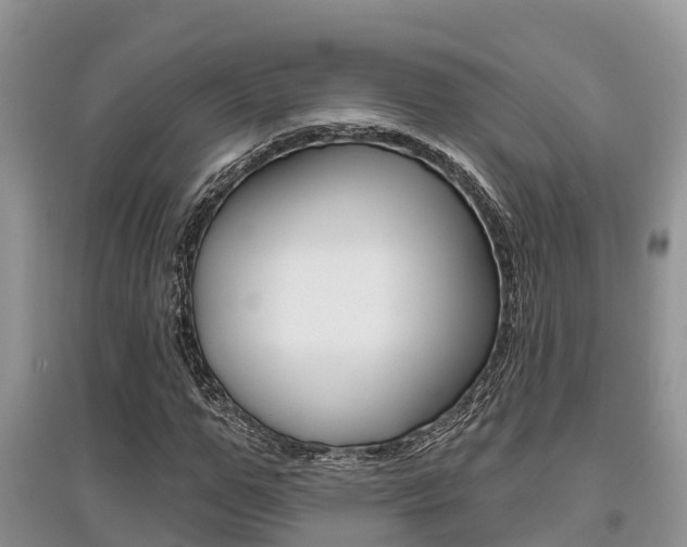 X0000097910967200803141025