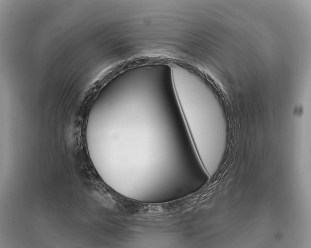 X0000097910968200803141025