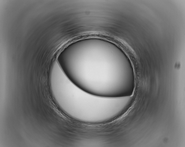 X0000097910969200803141025