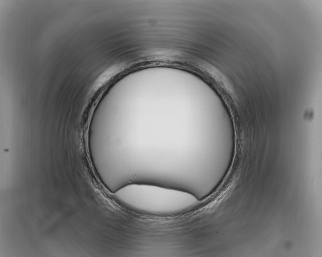 X0000097910970200803141025
