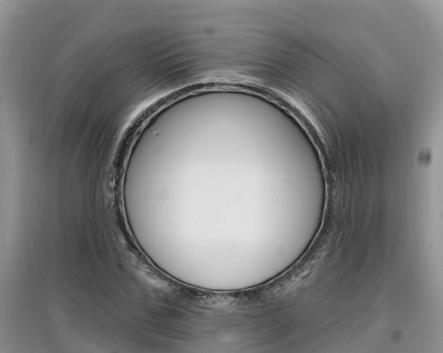 X0000097910971200803141025