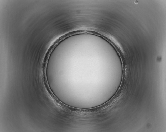 X0000097910972200803141025