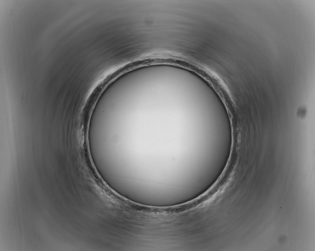 X0000097910973200803141025