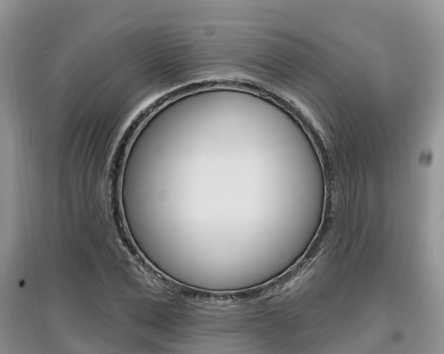 X0000097910975200803141025