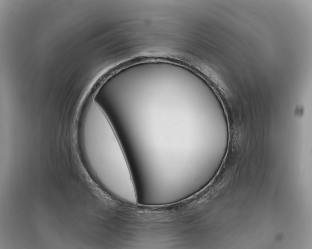 X0000097910976200803141025