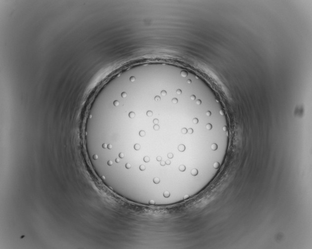 X0000097910978200803141025