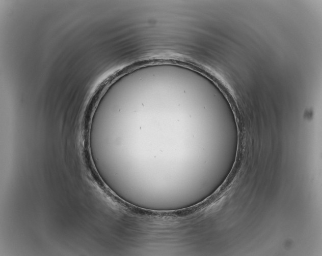X0000097910979200803141025