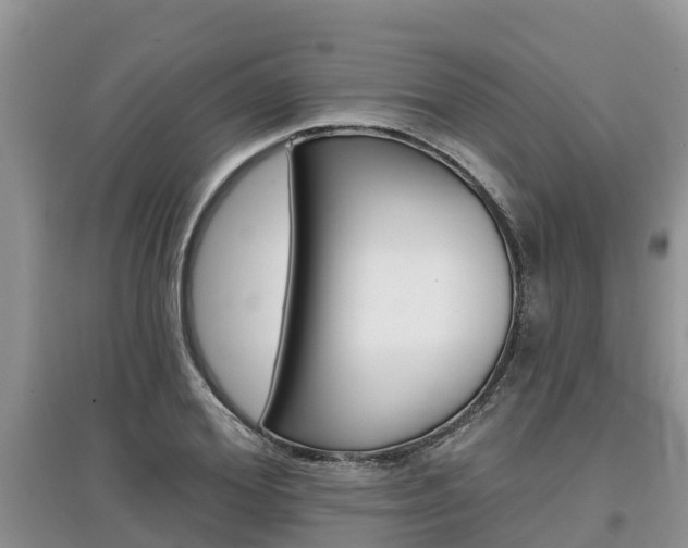 X0000097910980200803141025