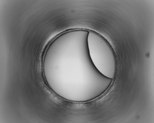 X0000097910982200803141025