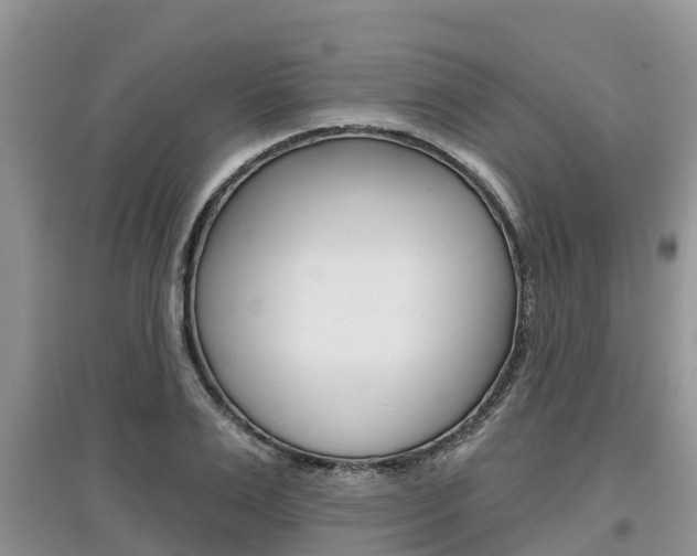 X0000097910983200803141025