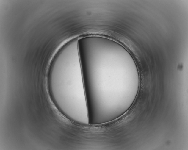 X0000097910984200803141025