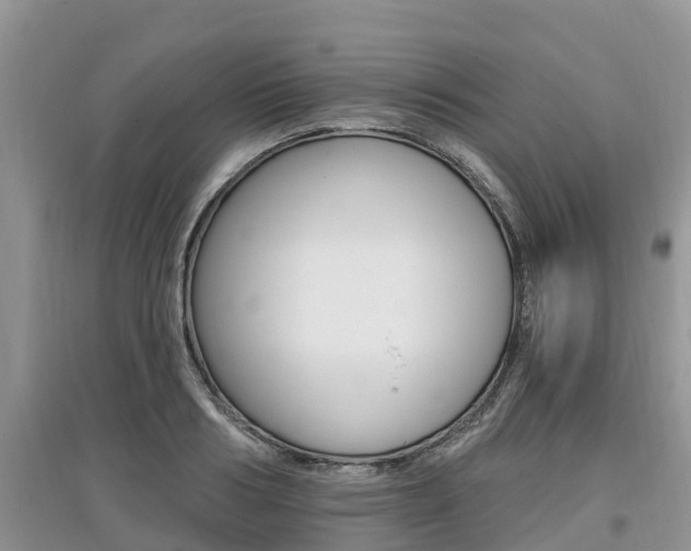 X0000097910986200803141025