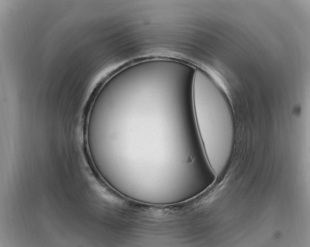X0000097910987200803141025