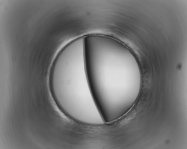 X0000097910991200803141025