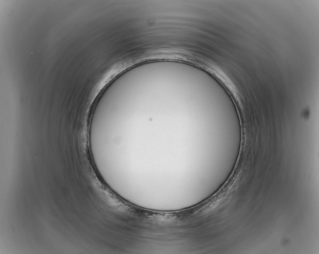 X0000097910994200803141025