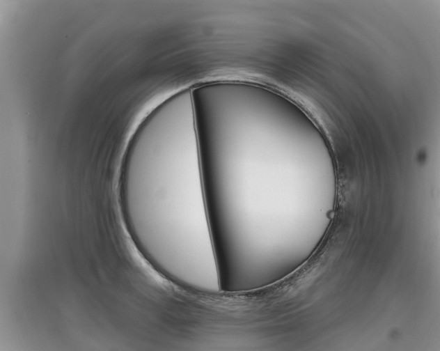 X0000097910995200803141025