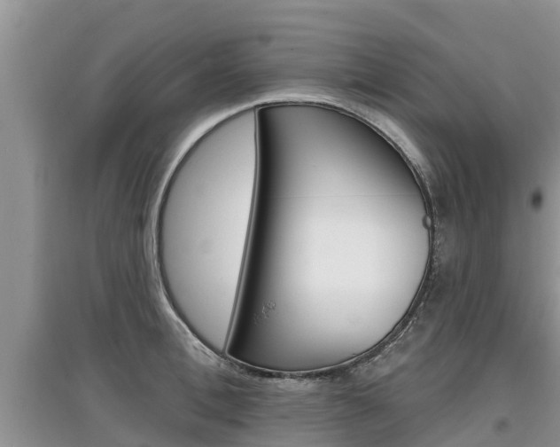 X0000097910996200803141025