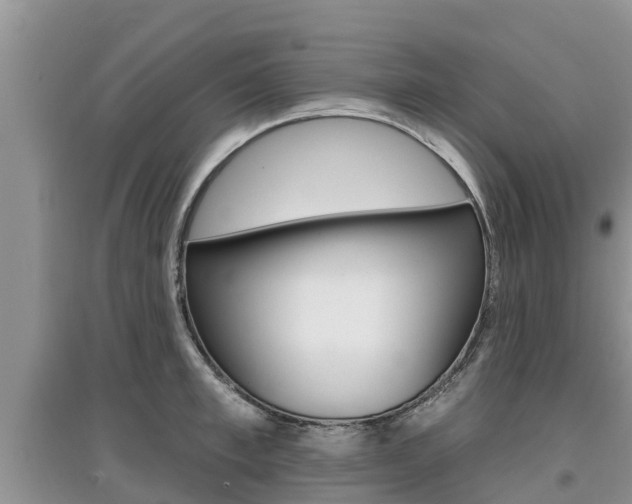X0000097910997200803141025