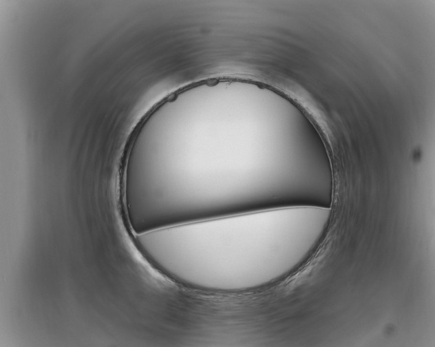 X0000097910999200803141025