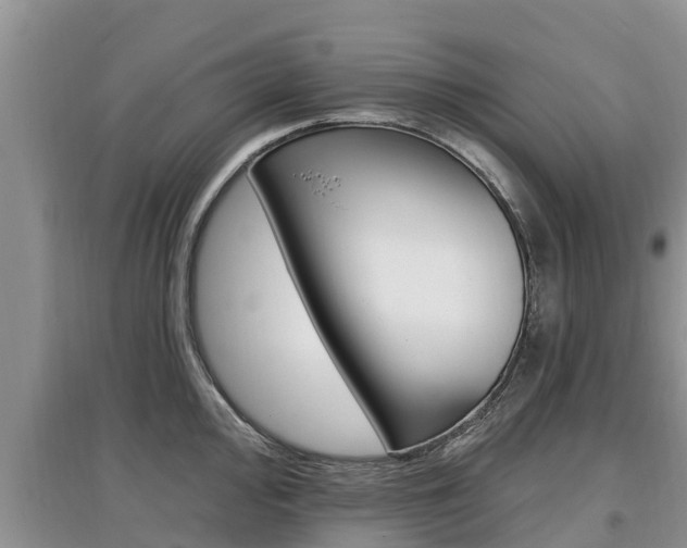 X0000097911000200803141025