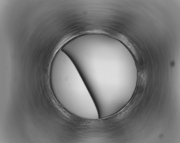 X0000097911002200803141025