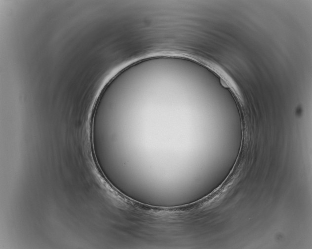 X0000097911004200803141025