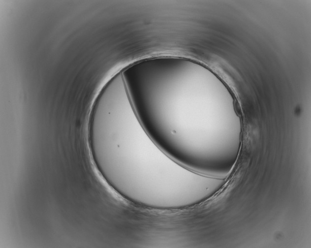 X0000097911005200803141025