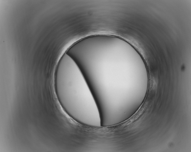X0000097911006200803141025