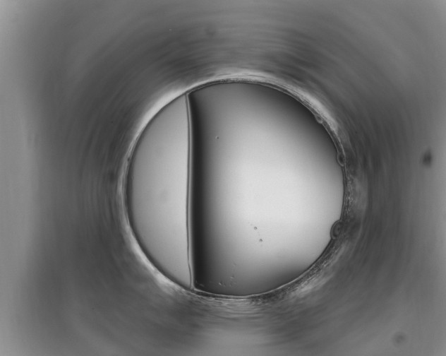 X0000097911007200803141025
