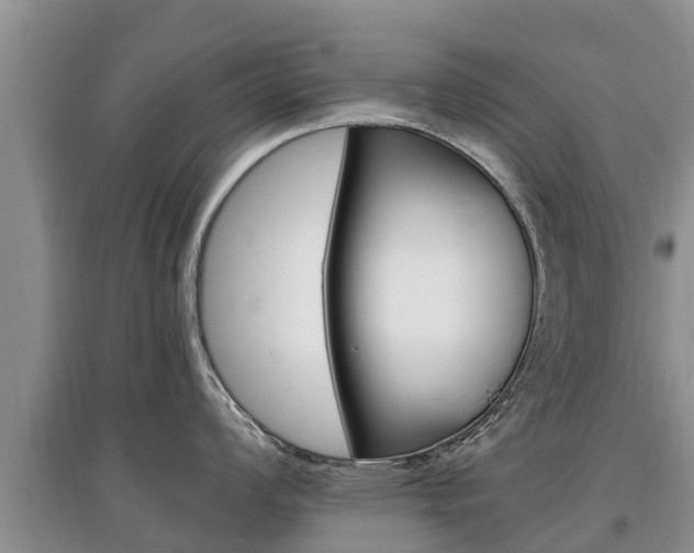 X0000097911008200803141025